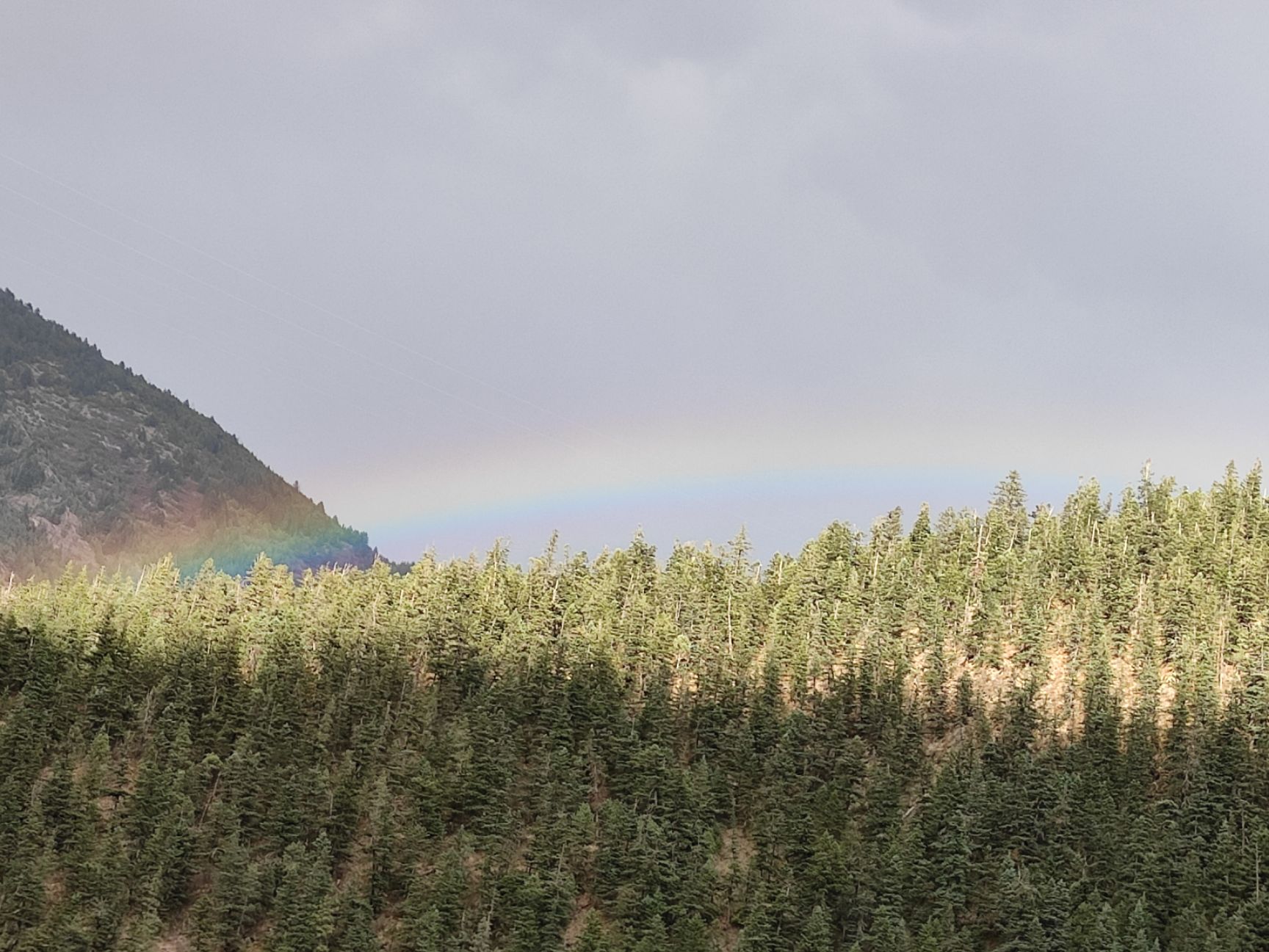 甘孜虫草  冬虫四川省甘孜州新龙县孜拖西乡呷戈村虫草，全是老百姓上山采挖