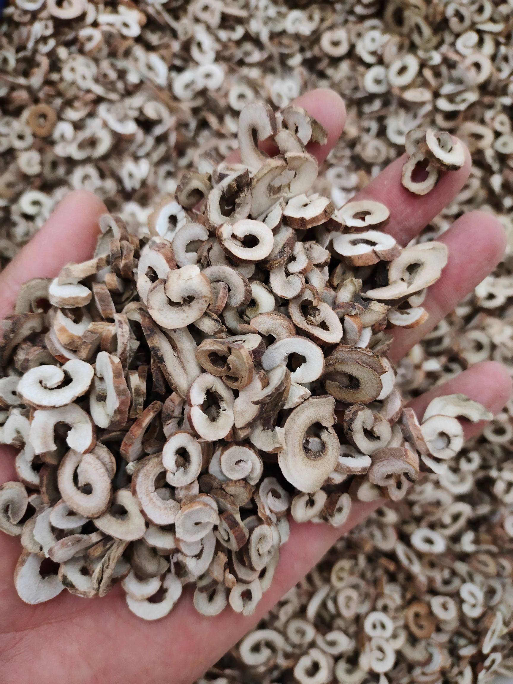 白丹皮公斤 抽芯去皮牡丹皮 精选牡丹皮 产地直供丹皮