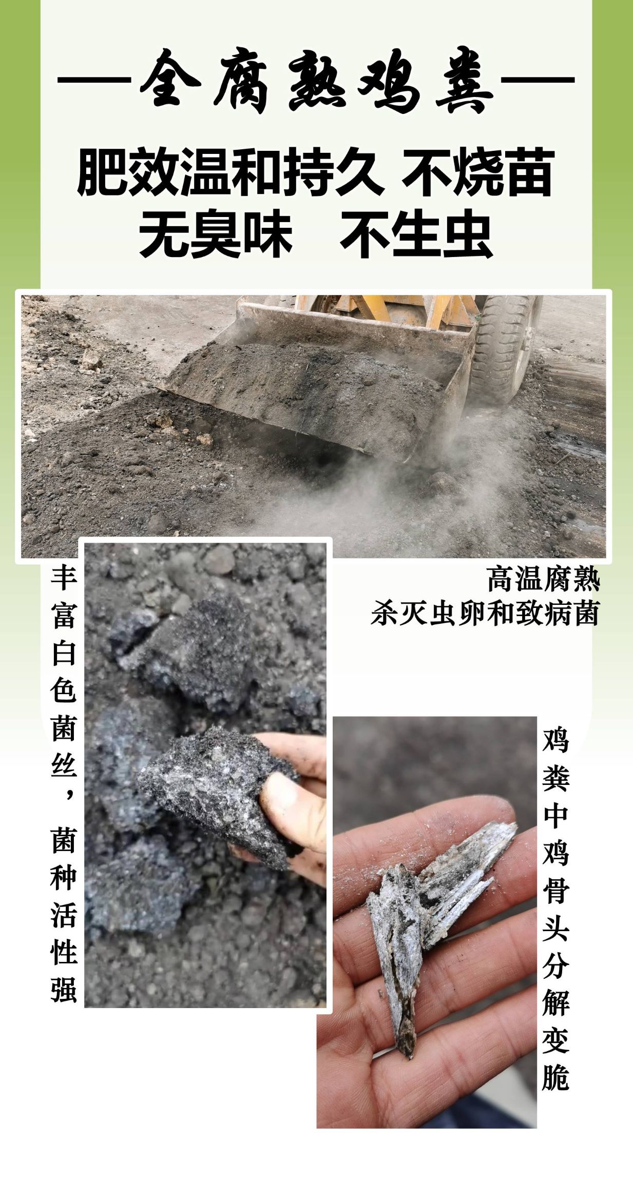 微生物有机肥  果树专用酵素生物有机肥 菌种活力强，施入土壤快速繁殖