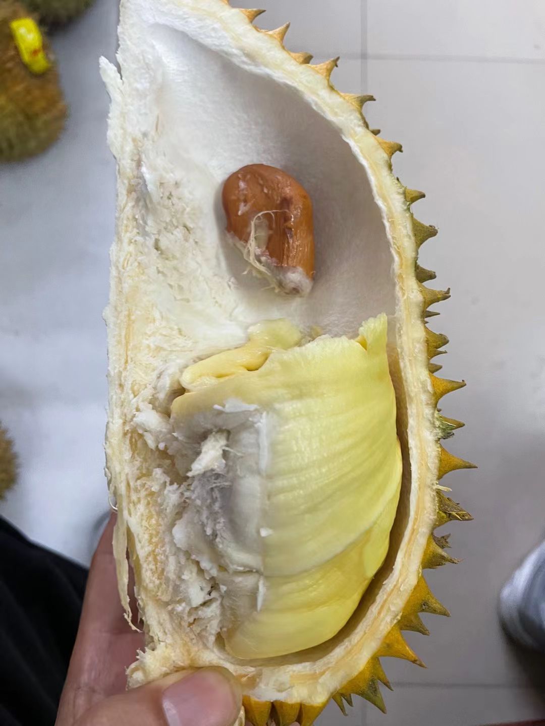 金枕榴莲  金枕