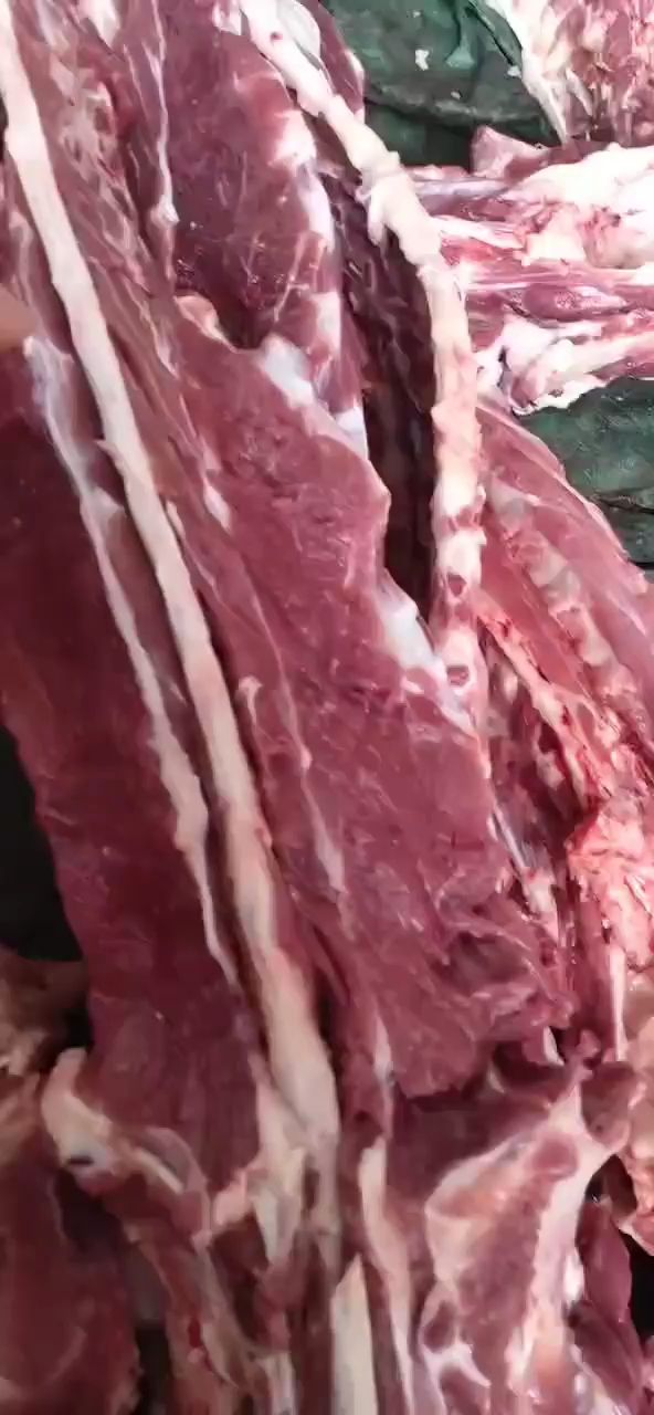 育肥羊加肉羊蝎子