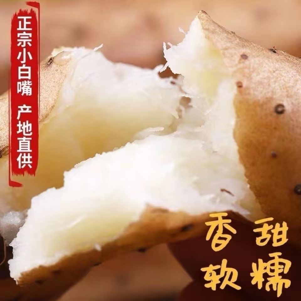 【现挖】铁棍淮山药怀山粉糯垆土铁棍小白嘴山药新鲜铁杆山药