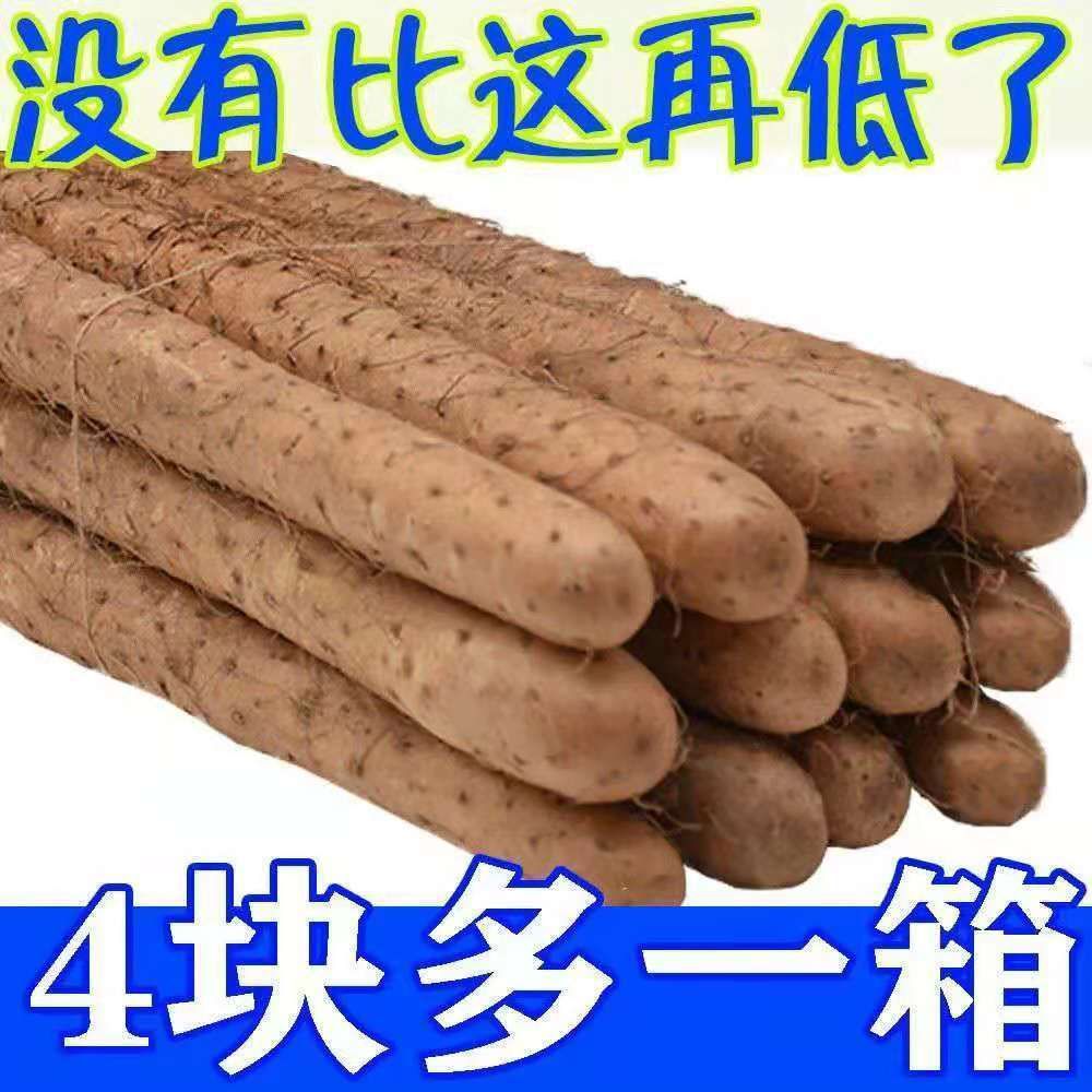 【现挖】铁棍淮山药怀山粉糯垆土铁棍小白嘴山药新鲜铁杆山药