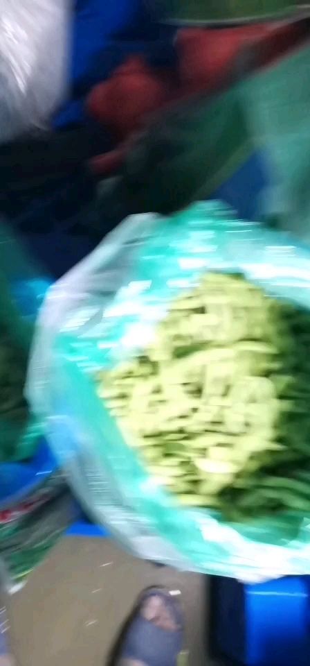 毛豆荚  翠绿宝