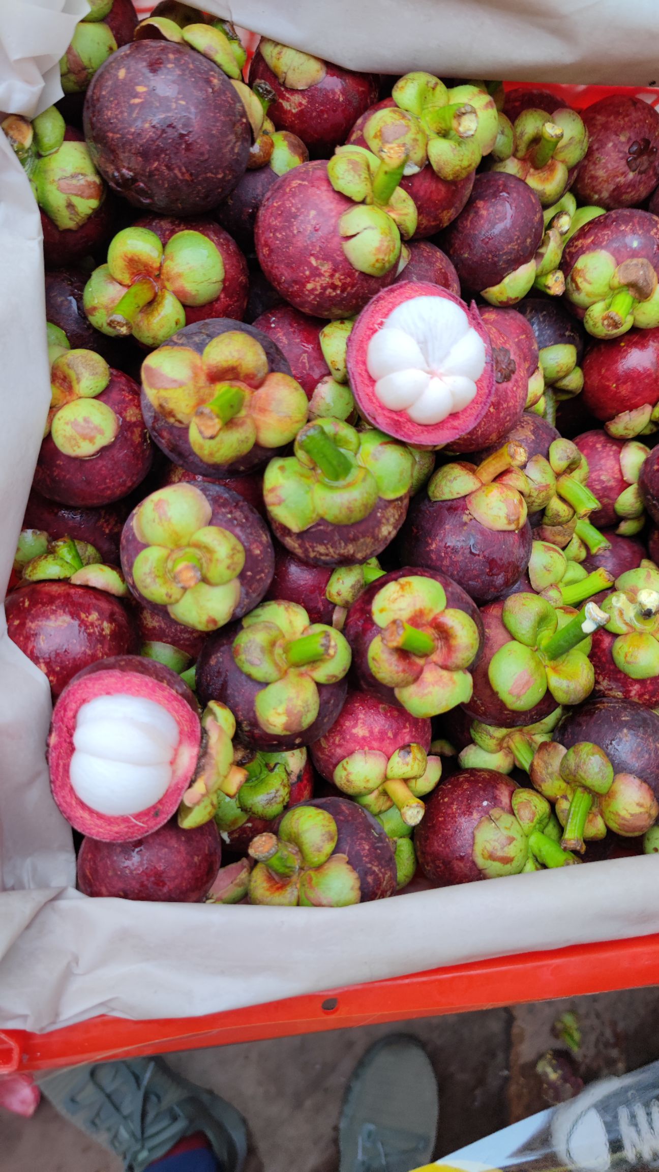 花竹果  泰国山竹油竹麻竹半油砂，4-5-6A产地直采代发全