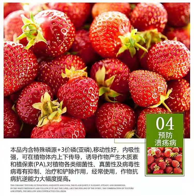 叶面肥  亚磷酸钾 1000毫升