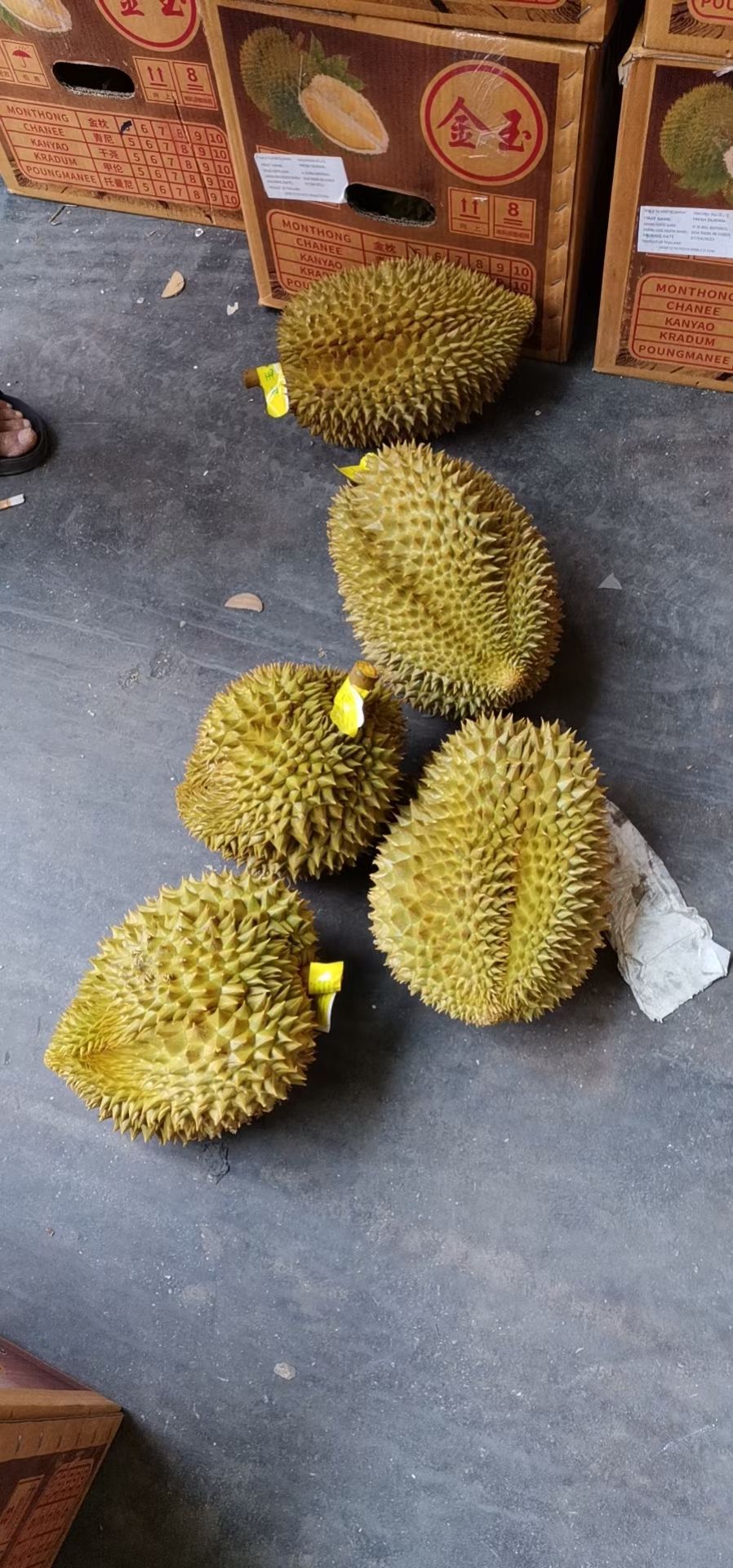 金枕榴莲，34斤净重，有需要的抓紧联系我