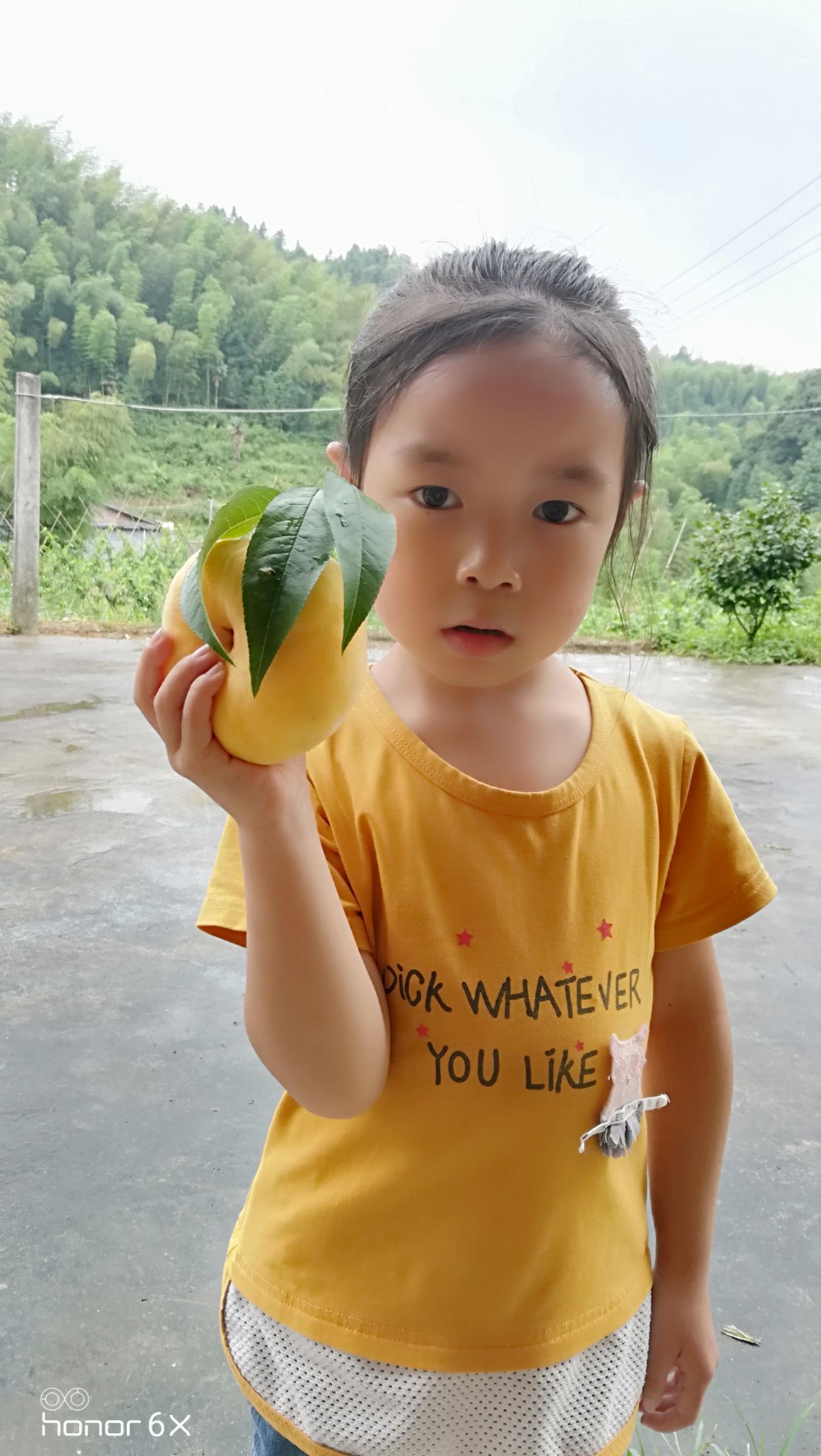 炎陵黄蟠桃，黄金蟠桃，果园新鲜采摘发货，王母娘娘蟠桃宴贡品，