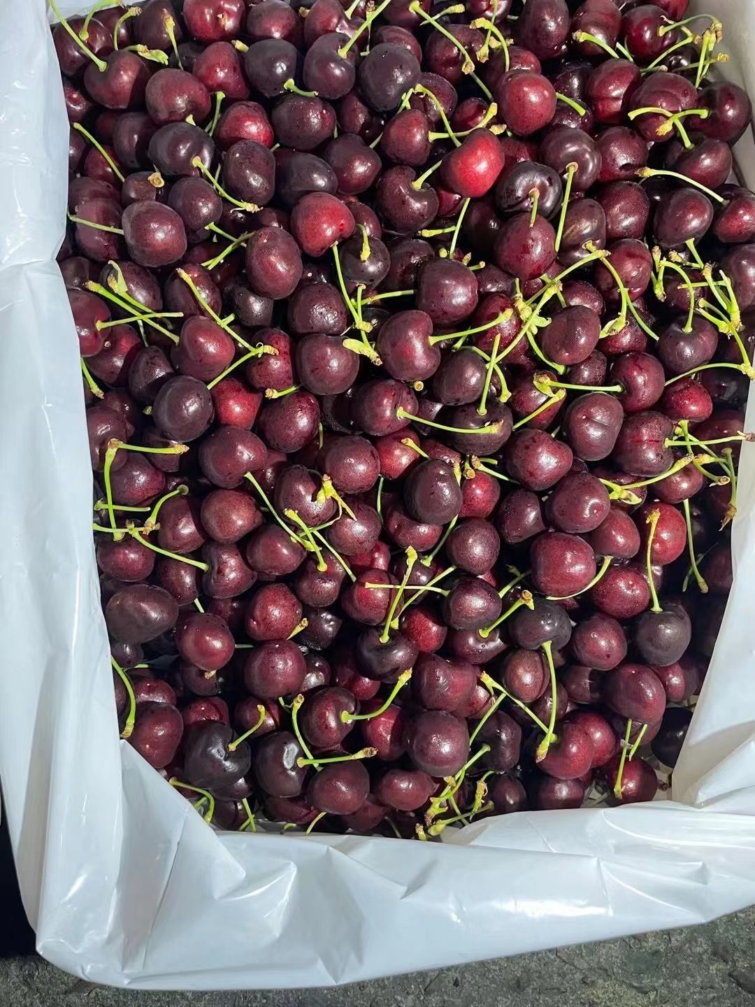 黑珍珠樱桃  美国车厘子，有需要的抓紧联系我们，价格便宜