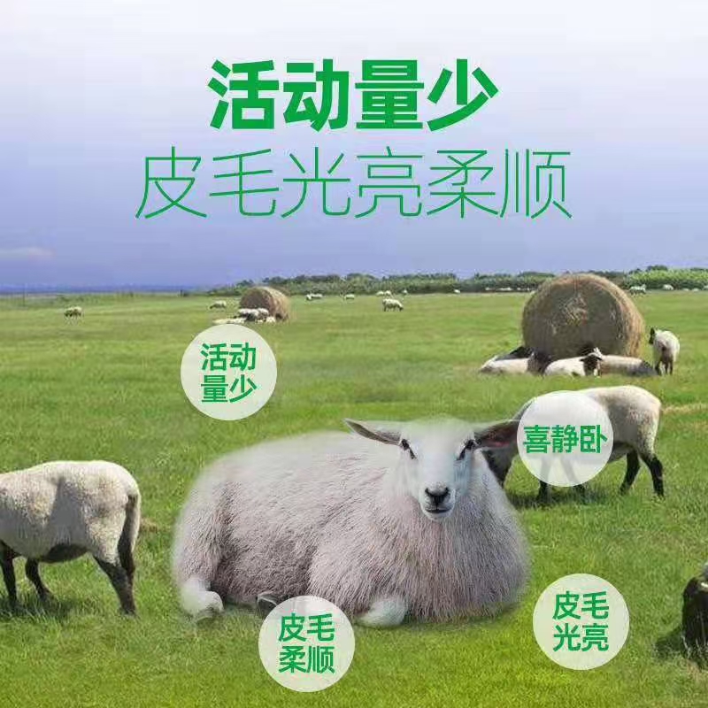 混合型饲料添加剂  牛羊开胃、健脾、增食、用健胃增食肽拌料喂。牛羊吃的多吃得快！