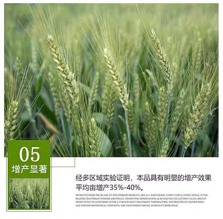 叶面肥  亚磷酸钾 1000毫升