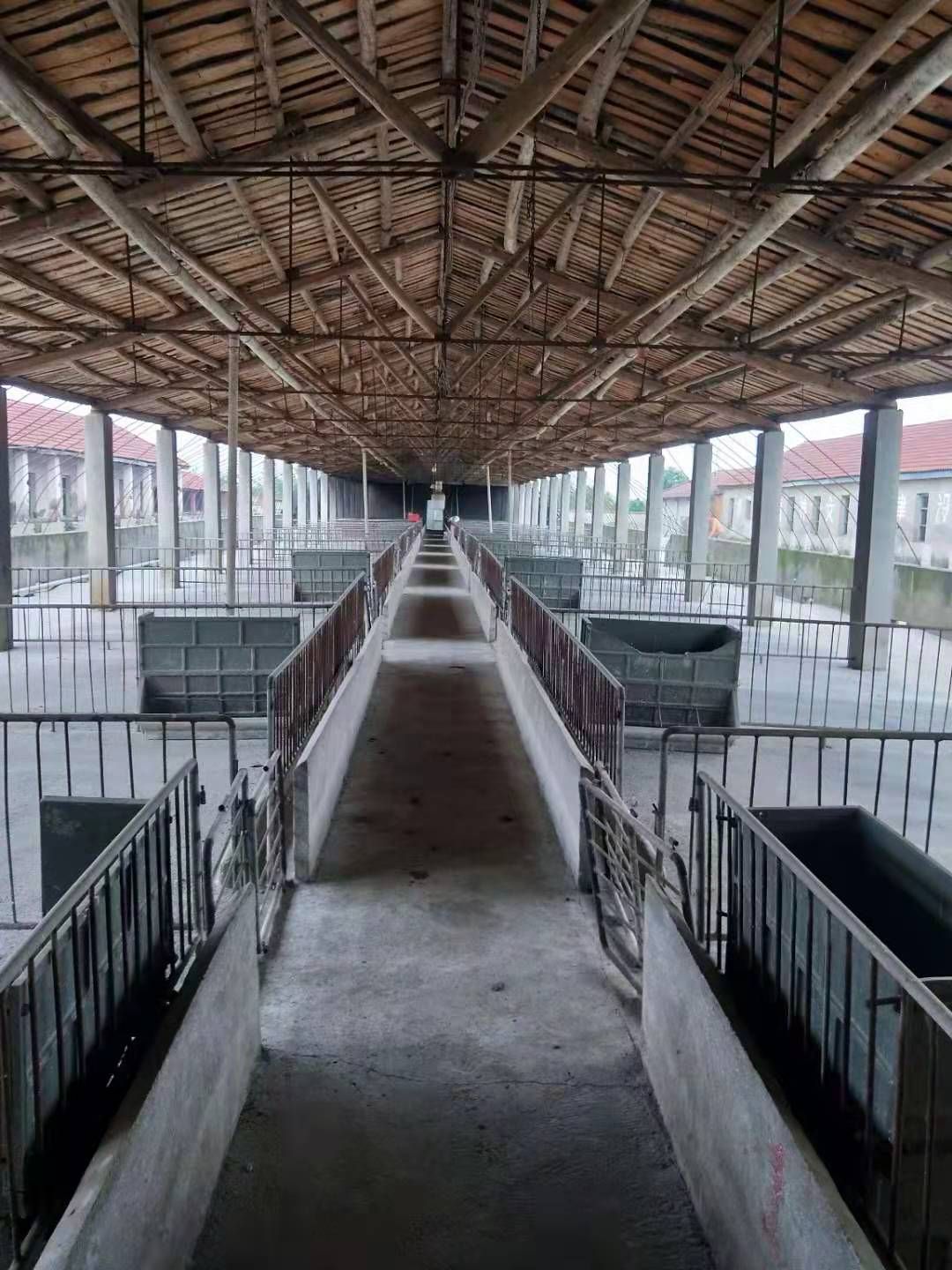 中大型畜牧养殖基地，设备齐全，厂房先进，另外出售山林500亩