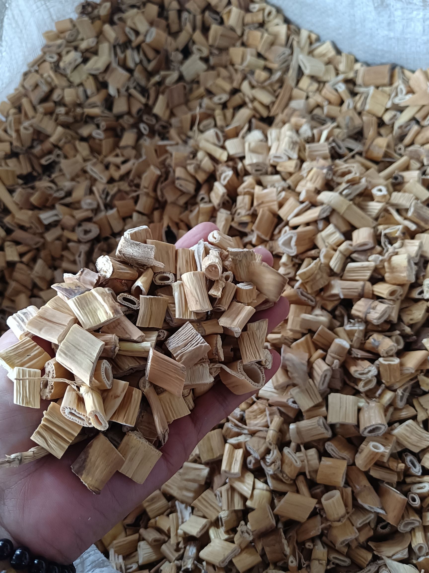 无硫磺统货芦根.芦茅根、苇根、芦头、芦柴根量大从优