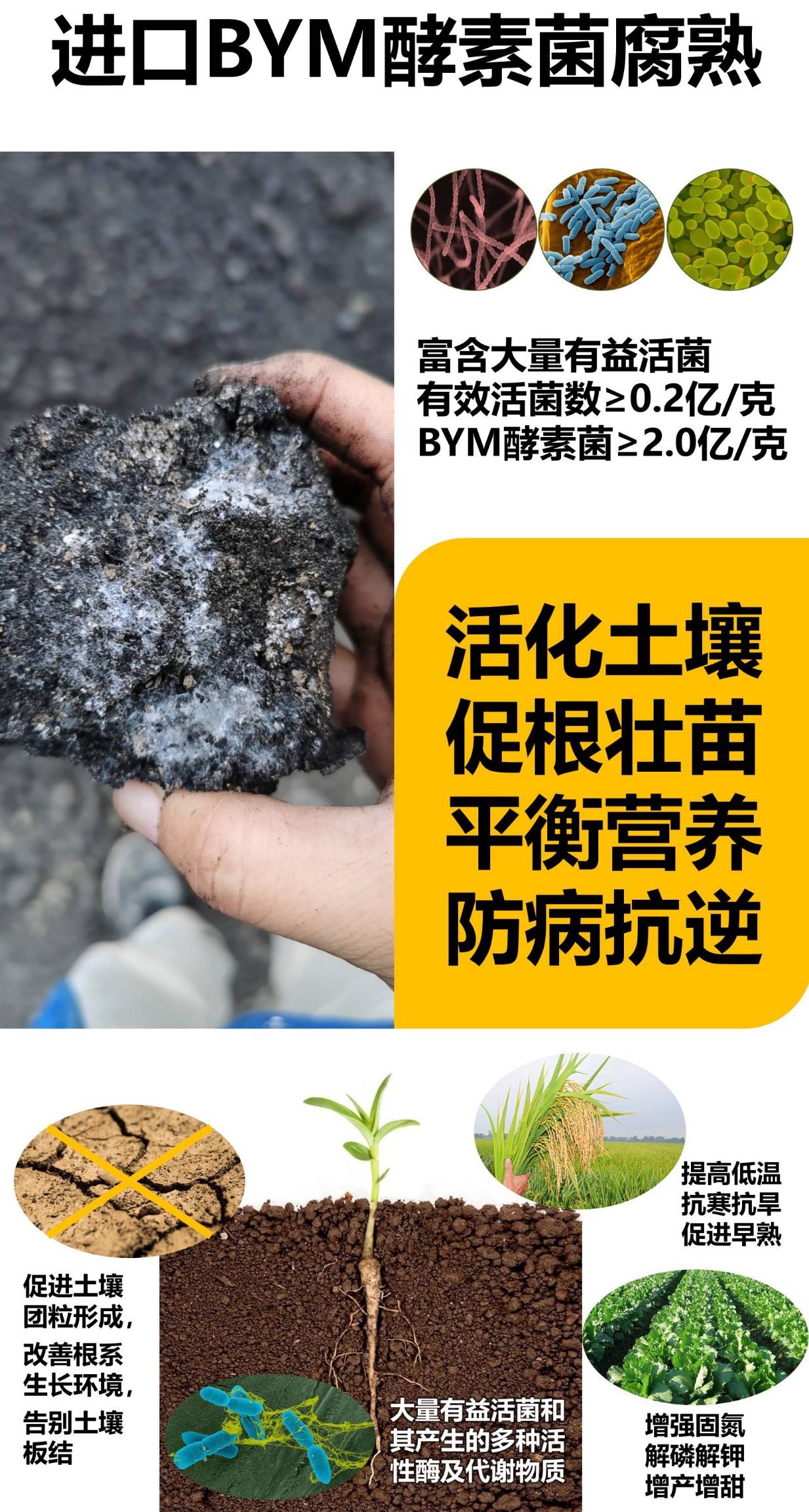 微生物有机肥  果树专用酵素生物有机肥 菌种活力强，施入土壤快速繁殖