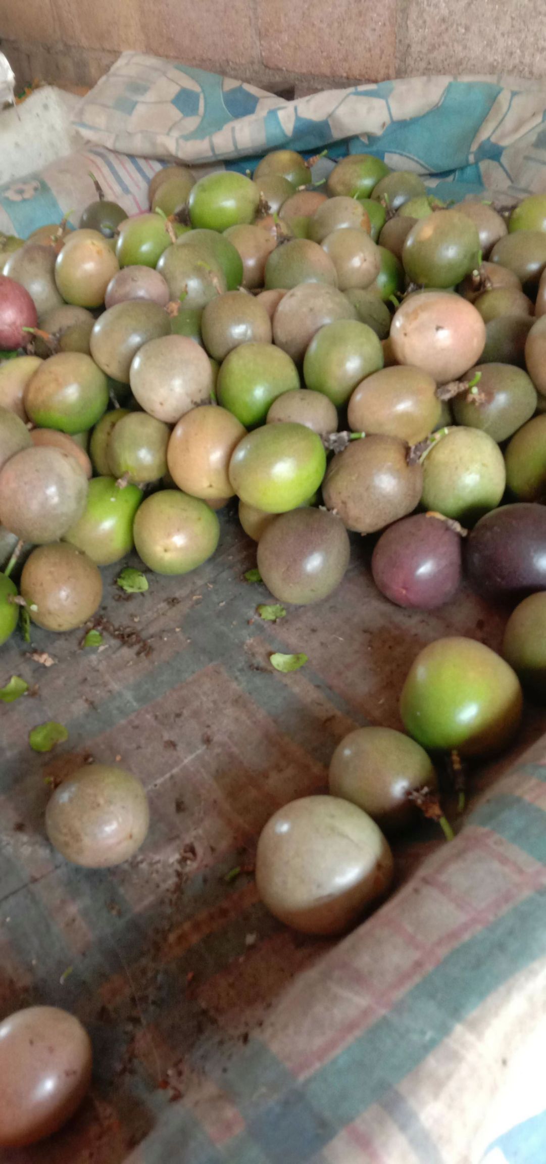 云南高山百香果电商,市场