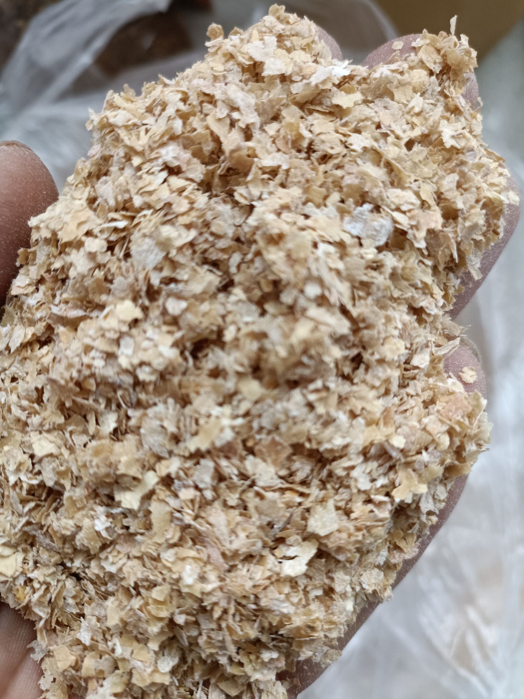  麦麸各，五得利，金沙河，华龙，质量有保障，量大价格优惠