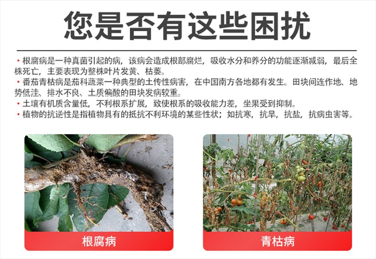 哈茨木霉菌微生物菌剂抗重茬防根腐促生根提高肥效防死棵