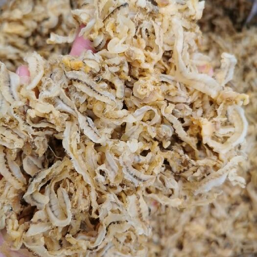 日照扇贝裙边  裙边，又名扇贝边。自家场地加工，一手货源！大量批