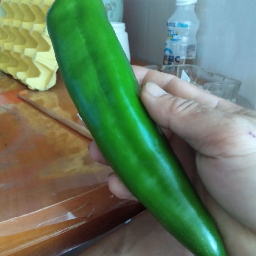 乐昌市牛角椒  产品