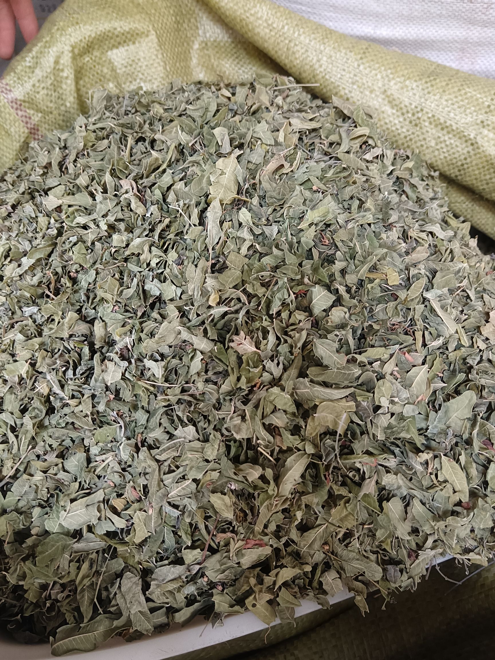 玉林罗布麻叶.红麻、茶叶花、红柳子、统货