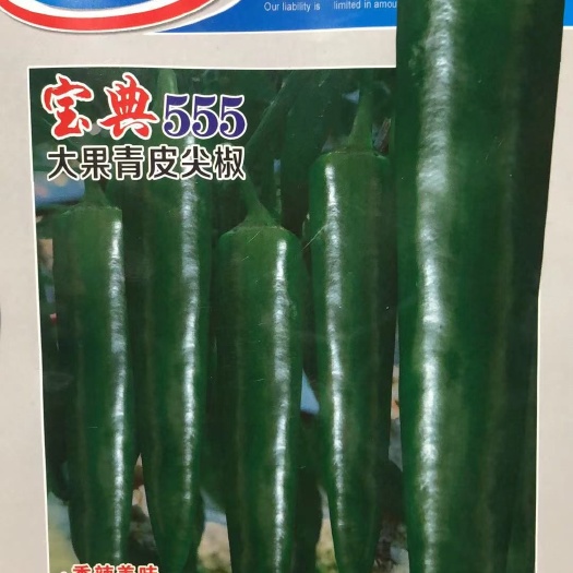 遂溪县宝典555大果青皮尖椒种子