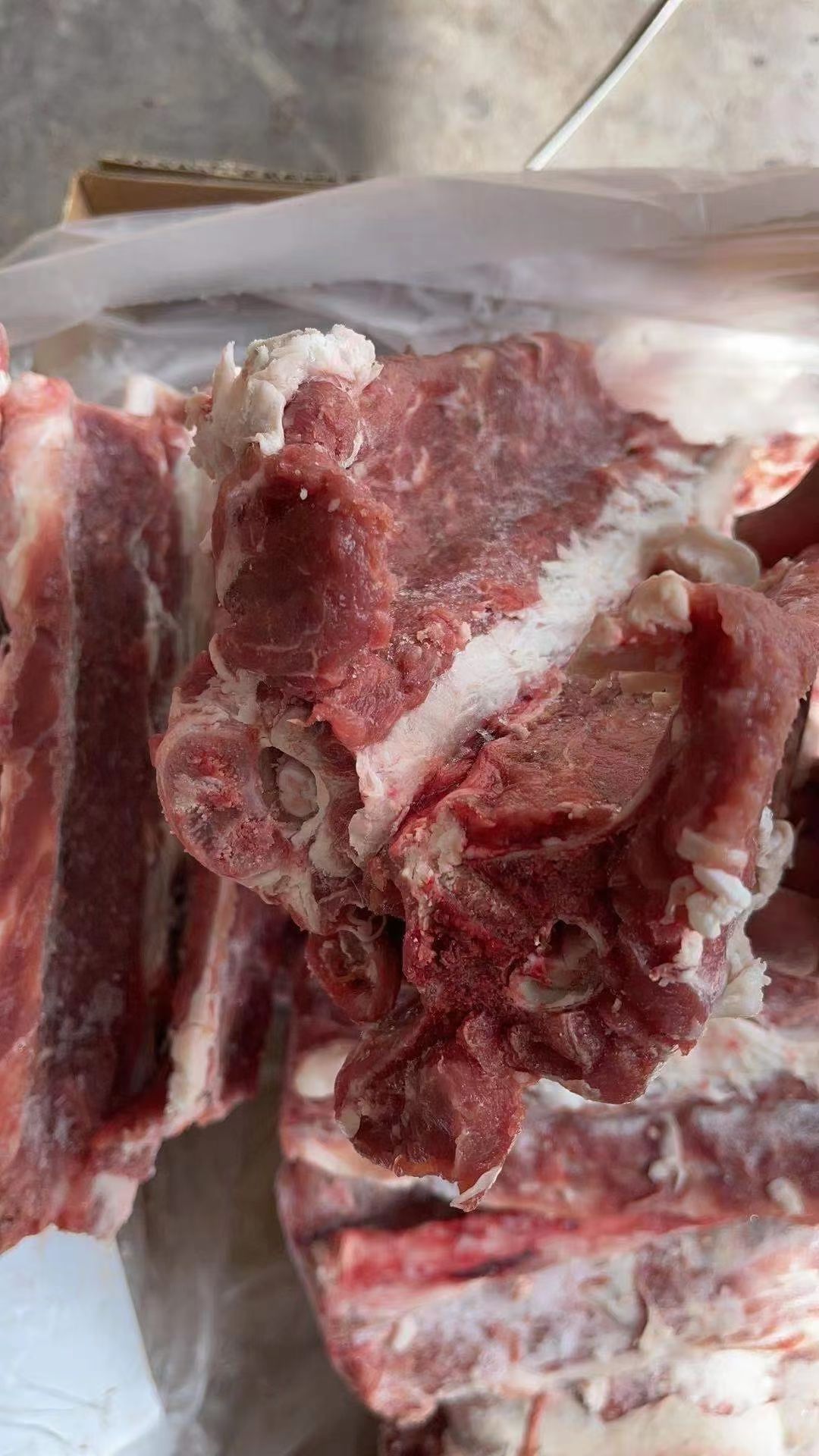 多肉羊蝎子，满肉羊蝎子，质量好，炖锅专用