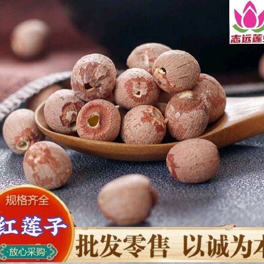 湘潭县【去心红莲子】新货湘莲去心红莲子 精选过筛