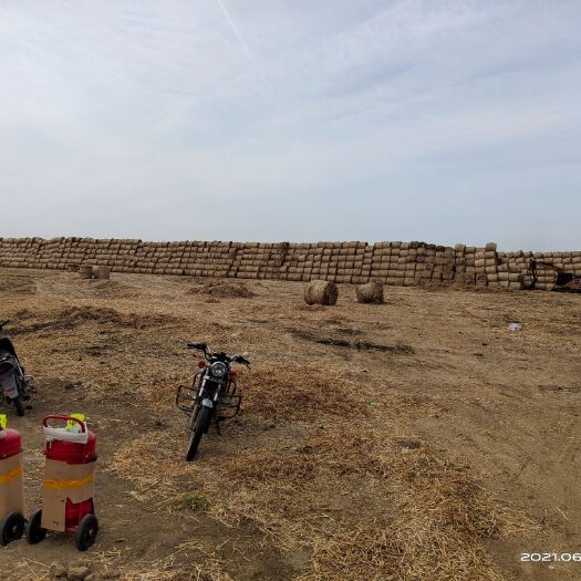 蒙城县 大量出售小麦秸秆