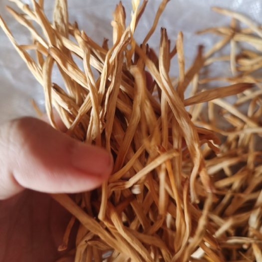 大荔县新鲜黄花菜  黄花菜，