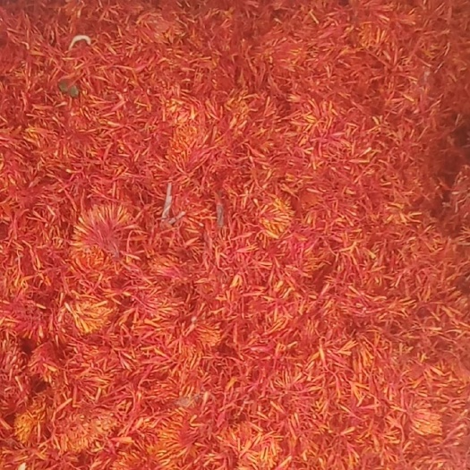 太康县红花 
