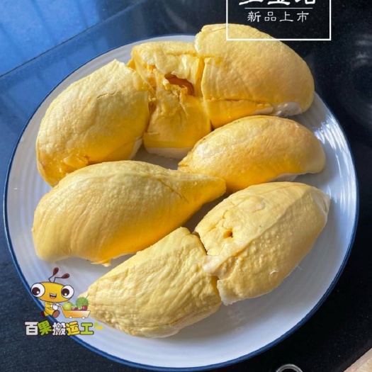 南宁 红宝石榴莲8公斤，泰国果园现摘，顺丰包邮到家