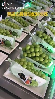 标签定制  阳光玫瑰商标 包装纸箱 纸托 T形袋 扎丝 供应 河北