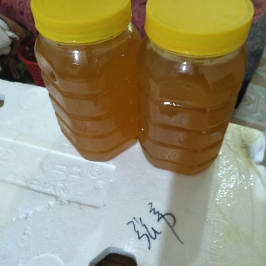 绵阳 土蜂蜜