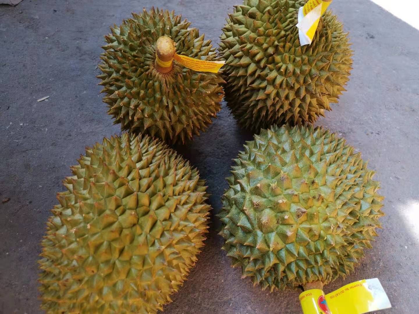 托曼尼榴莲，有需要的抓紧联系，32斤净重