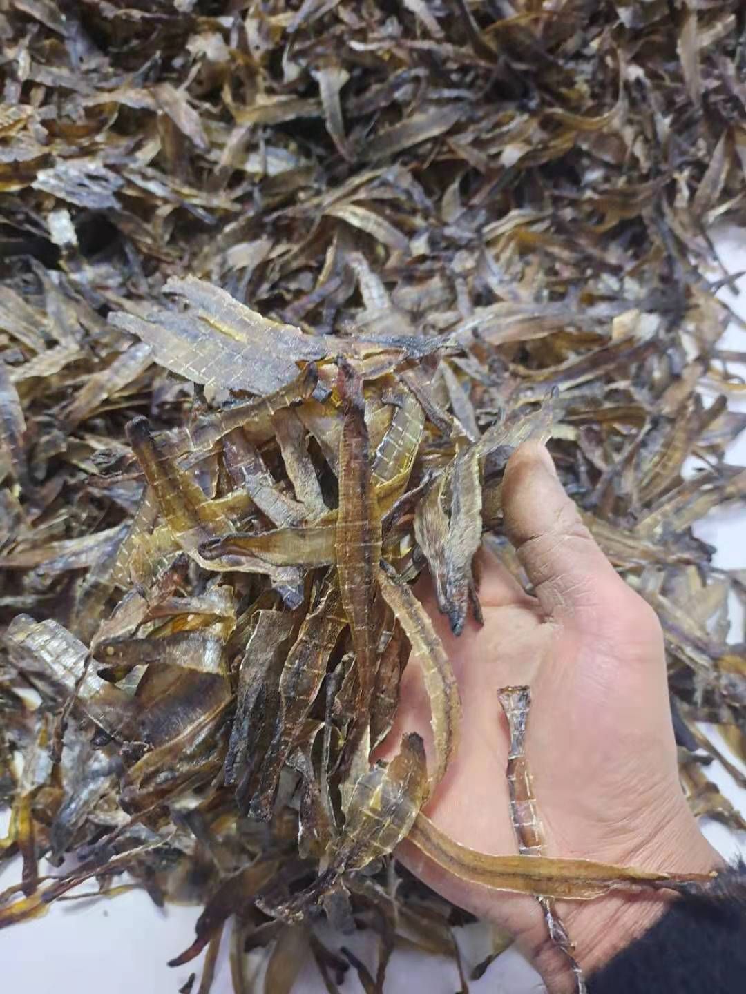 土地龙 地龙干货