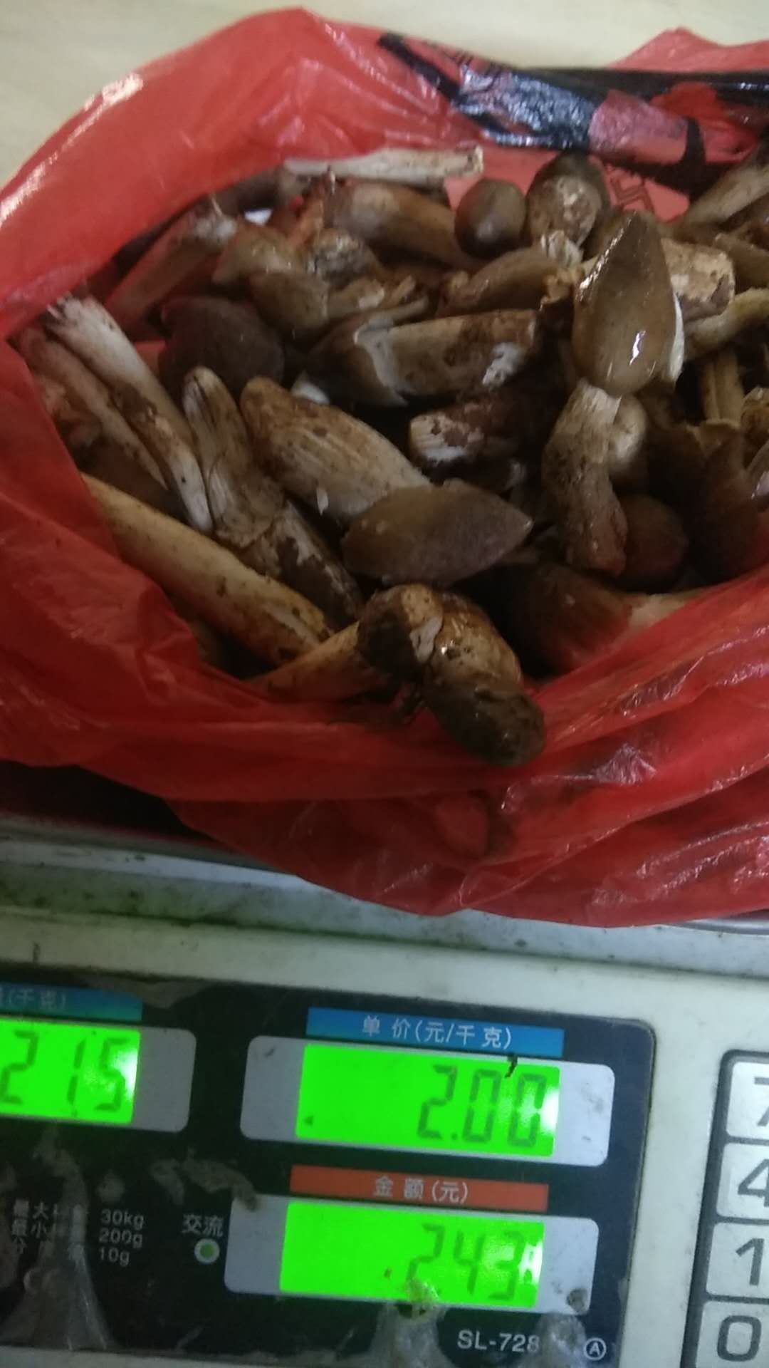 鸡枞菌纯自然界5一7月季节性，好吃的菜。