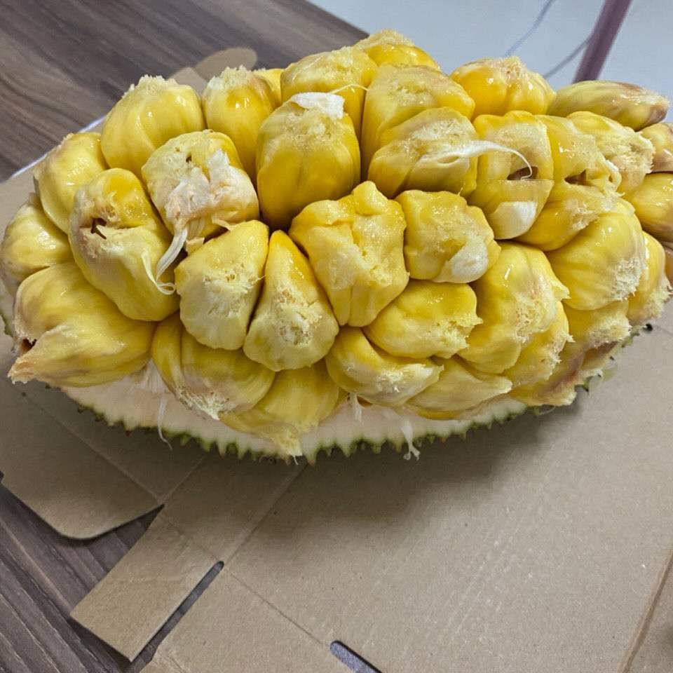 尖蜜拉  榴莲蜜，货好价格便宜，有需要的抓紧联系