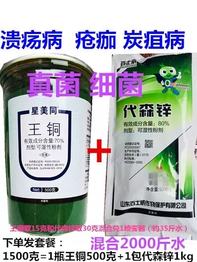  70%王铜500克+代森锌1公斤柑橘严重溃疡病药疮痂病杀菌