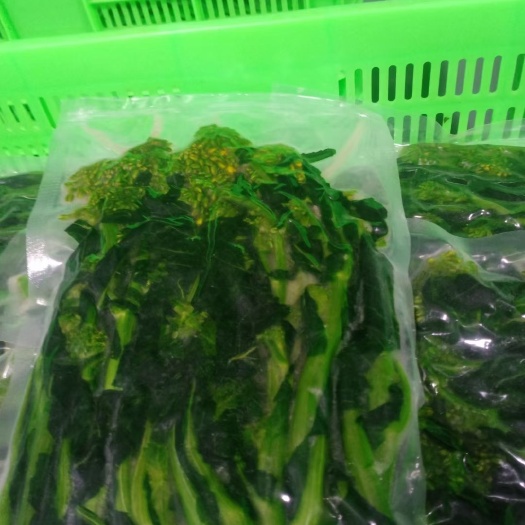 油菜苔 时令菜心