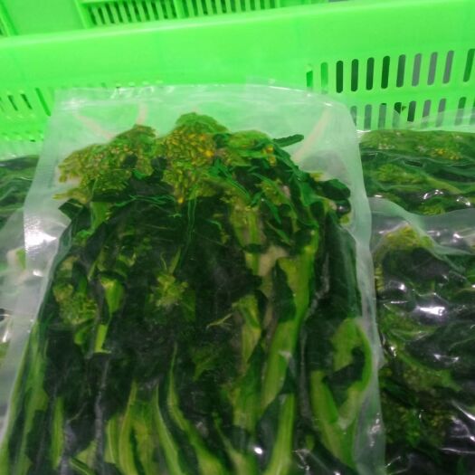 姚安县油菜苔 时令菜心