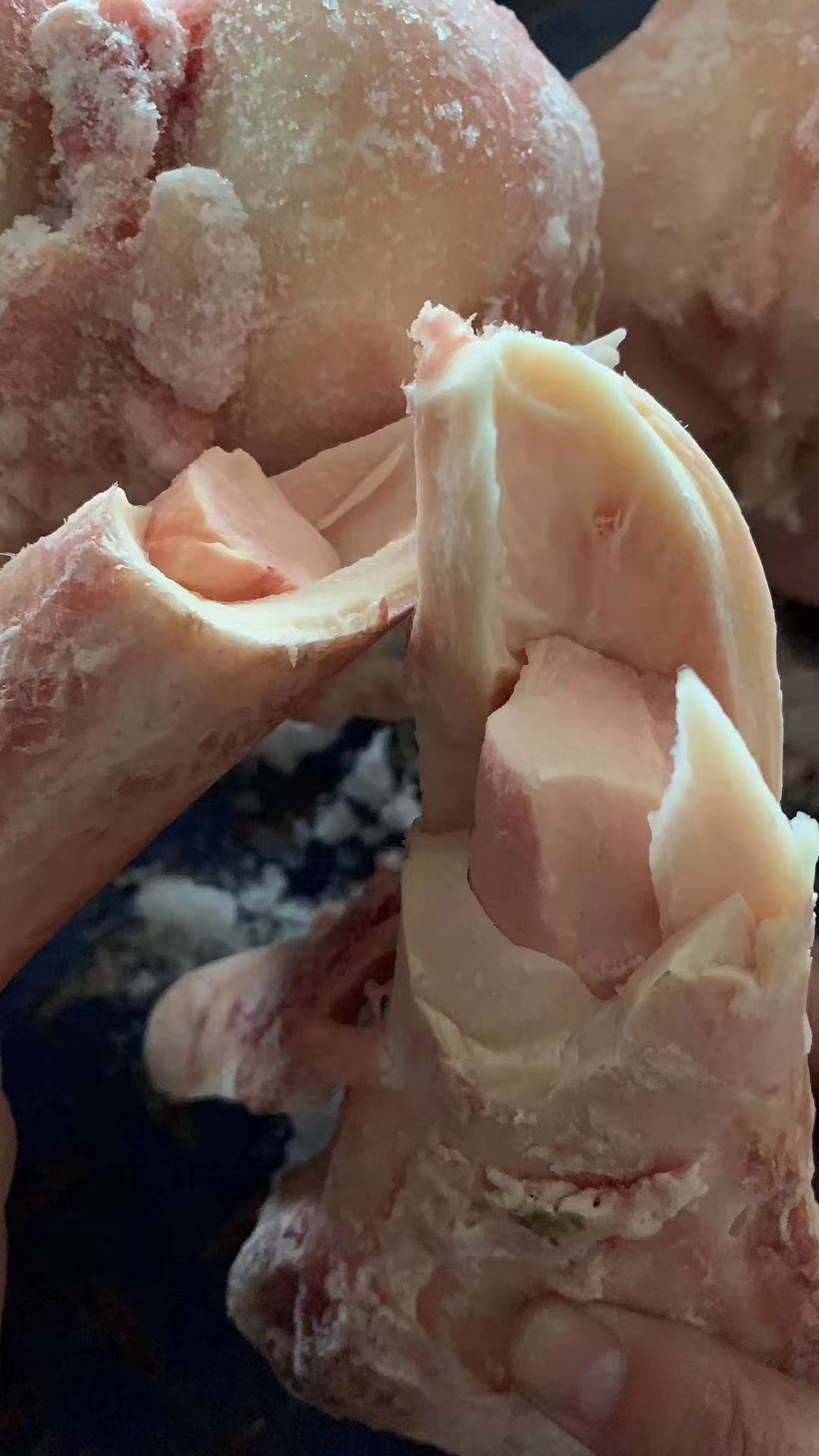 牛骨  纯圆牛棒骨 熬汤棒骨  50斤袋装