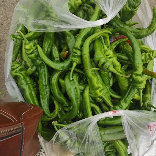 西宁 精品辣椒