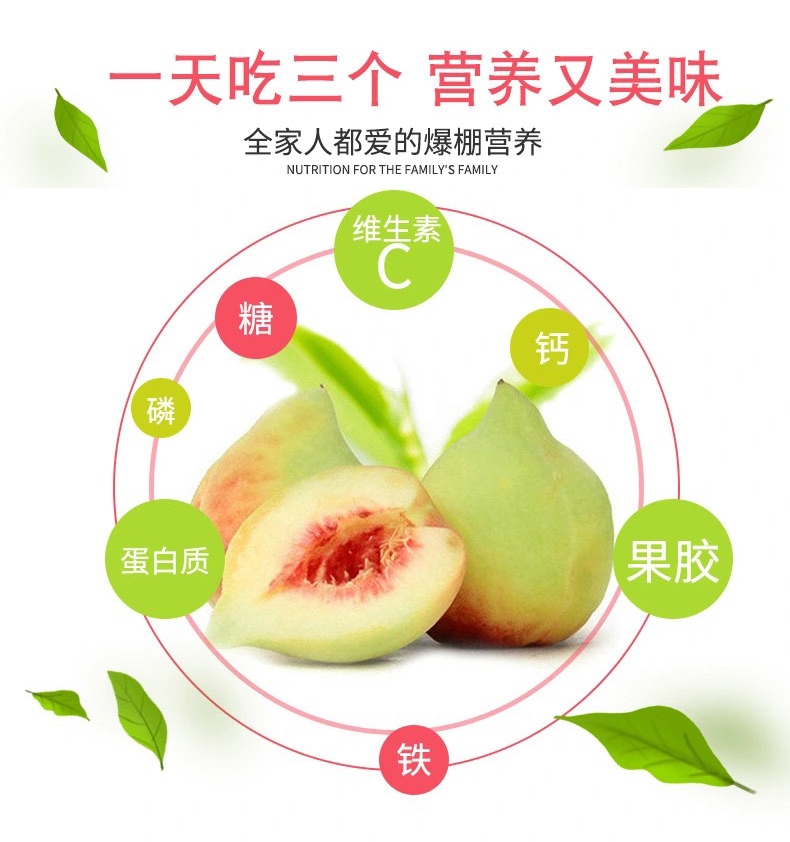 【一件代发】鹰嘴桃新鲜当季水果桃子脆甜蜜桃现摘现发