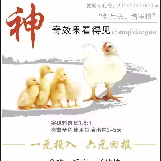 濮阳县配合饲料 肥尔美（家禽专用）