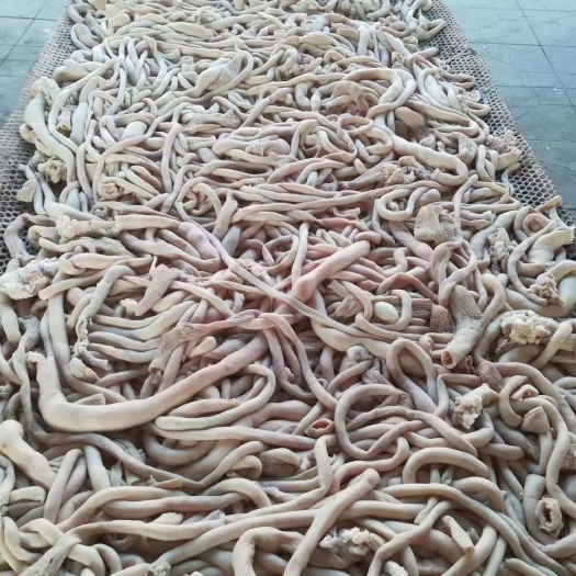 河间市全熟五香羊肠