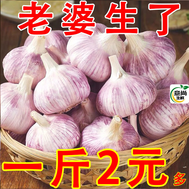 五柯农业白皮蒜新干蒜紫白皮大蒜新鲜大蒜批发价包邮