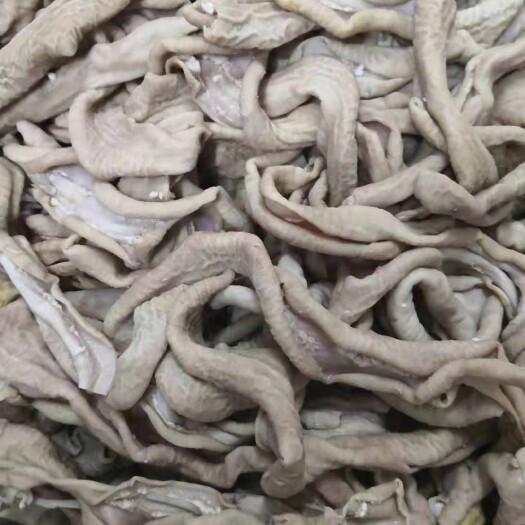 阳信县牛肠  精选牛小肠 新鲜冷冻去油牛小肠