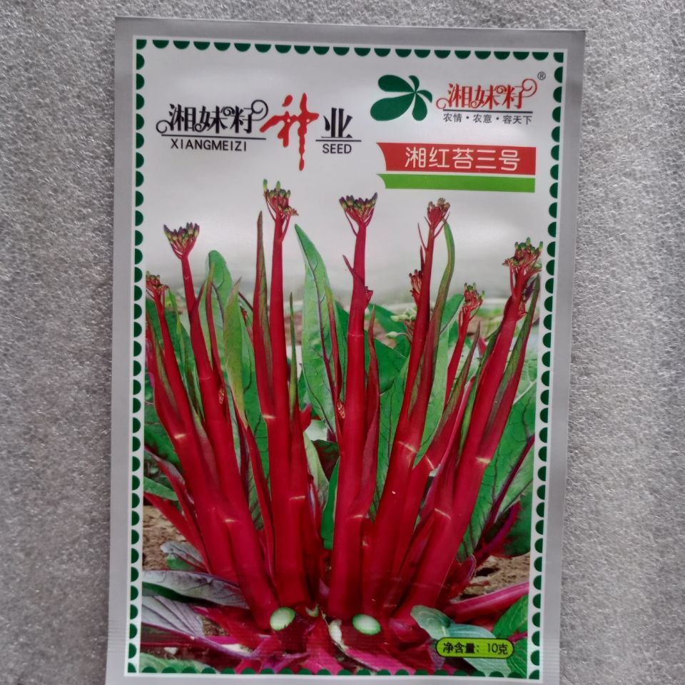 祁阳市 湘妹籽湘红苔三号红菜苔种子中早熟耐寒色红叶少净含量10克