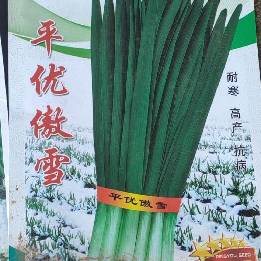 安阳县韭菜种子 现货新鲜韭菜苗