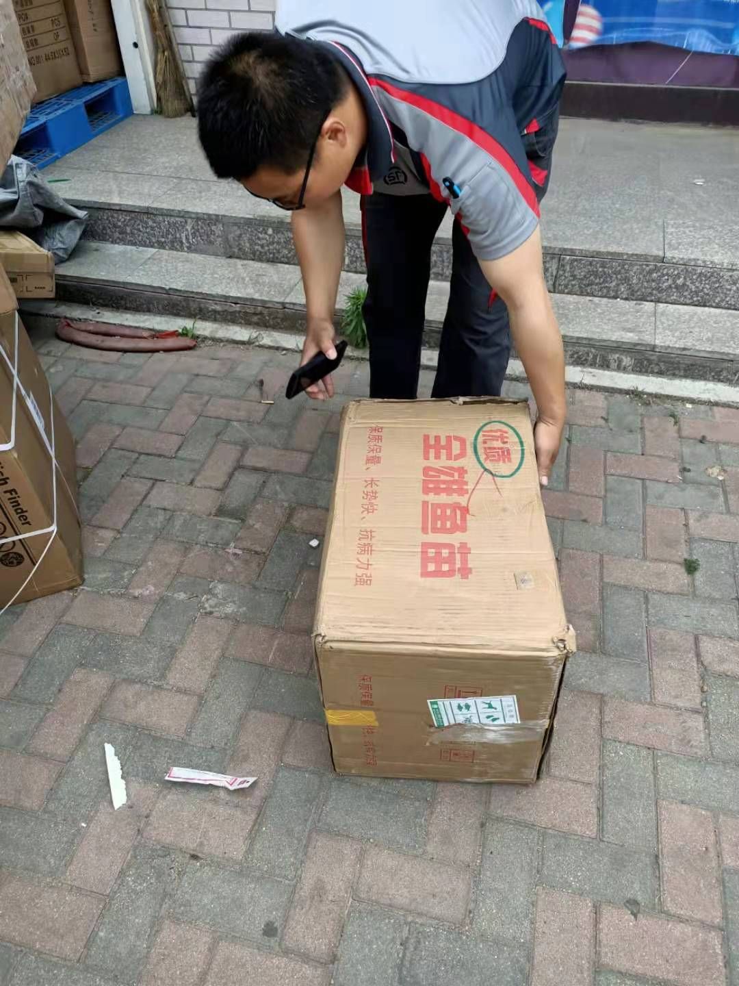 鳜鱼苗  现货包邮桂鱼水花鳜鱼水花鲈桂斑桂